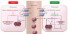 Photo for Global Ischemia Reperfusion Injury Market 2018 Forecast to 2023