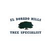 Photo for El Dorado Hills Tree Specialist