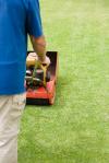 Photo for Sanford Son Lawncare Svcs, Llc