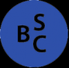 Photo for BestSEOCompany.info, LLC