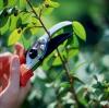 Photo for Southern Lawn Care