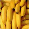 Photo for MEXICAN BANANAS