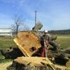 Photo for Trail Tree & Landscape Services INC