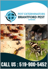 Photo for Pest Control Service in Brantford