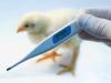Photo for Poultry Diagnostics Market by Types, Application and Key Companies Profile in a Latest Research