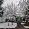 Photo for Alabama Abuse Counseling Center, Inc
