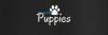 Photo for World Wide Puppies
