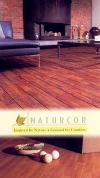 Photo for Great Southeast Flooring America