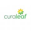 Photo for Curaleaf