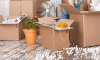 Photo for Kauai Moving Companies in Hawaii