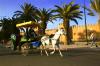 Photo for Tarodaunt, the Mini-Marrakech & Berber Walled City, Your Morocco Tour Guide