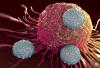 Photo for Immune Anti-Inhibitor Market - Global Industry Insights, Trends, Outlook and Analysis, 2017-2025