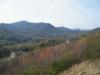 Photo for Land for Sale - 89 Mo's Way  Candler NC  28715  Susan Duncan Realtor