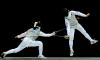 Photo for Fencing Market - Global Industry Insights, Trends, Outlook, and Opportunity Analysis, 2018-2025