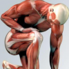 Photo for Trigger Point Therapy