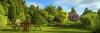 Photo for All American Tree And Landscaping