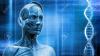 Photo for Global Prenatal DNA Sequencing Market - Increasing Research Activities on Human Genomics to Boost Growth