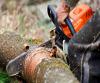 Photo for Haverhill Tree Pros