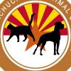 Photo for Huachuca City Animal Shelter