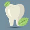 Photo for Ironwood Dental Center