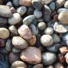 Photo for Pitts Sand & Gravel Stone Yard