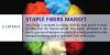 Photo for Staple Fibers Market is expected to have the highest growth rate during the forecast period 2025