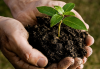 Photo for Global Biosolids Market 2018 Forecast to 2023
