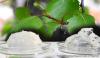 Photo for Nanocellulose Industry Global Market Growth, Size, Trends, Insights And Forecast To 2023