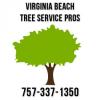 Photo for Virginia Beach Tree Service Pros