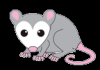 Photo for Apossum.com - Dofollow link business directory