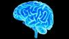 Photo for https://healthonlinereviews.com/cerebral-boost-intense-focus/