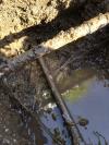 Photo for Just Leak Detection