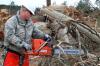 Photo for South Bend Tree Service