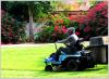 Photo for Yard maintenance portland Oregon- Emiliano Chavez Maintenance