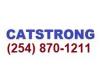 Photo for Catstrong Inspections of Killeen