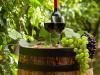 Photo for Wine Market - Insights, Size, Share, Opportunity Analysis, and Industry Forecast till 2025