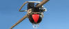 Photo for Global Fault Indicators Market 2018 Forecast to 2023