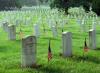 Photo for Memorial Day Thoughts