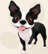 Photo for Uptown Hound Pet Grooming
