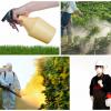 Photo for Complete Pest Elimination