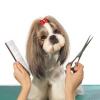 Photo for Mobile Dog Grooming Atlanta