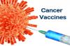 Photo for Cancer Vaccines Market – Global Industry Insights, Trends, Size, Analysis and Forecast to 2025