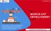Photo for Best App Development Company in Jaipur