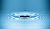 Photo for Water Damage Restoration North Charleston