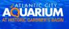 Photo for Atlantic City Aquarium