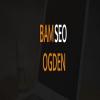 Photo for Bam SEO Ogden