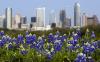 Photo for Hear About Great Homes in Austin