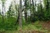 Photo for Land for Sale - Lots 1 and 2 Parkway View Drive Penrose NC  28766  Debra Petty Realtor