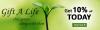 Photo for Vine Vegetable Seeds plant