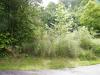 Photo for Land for Sale - Lot 172 Glen Eagles Lane Mills River NC  28759 Susan Duncan Realtor